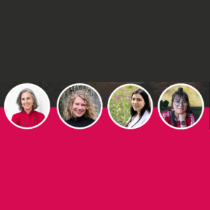 Javiera Barandiaran, Andrea Marston, Sylvia Cifuentes, and Daniela Mosquera-Camacho