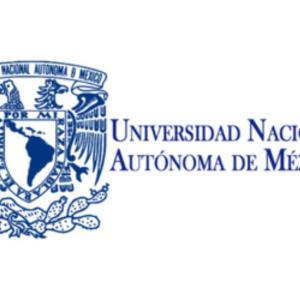 Mujeres migrantes, luchadoras sociales y defensoras de derechos humanos en México